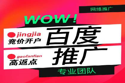 百度竞价SEM案例：如何利用数据分析优化广告效果